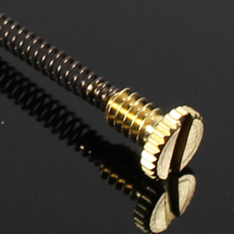 10 piezas de resorte metálico  - Lighter Insert Zippo reseña y precio